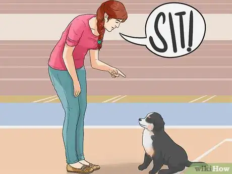 Image titled Get a Dog to Stop Pulling Clothes off the Line Step 1