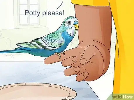 Image titled Potty Train a Parakeet Step 7