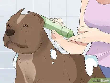 Image titled Bathe Your Pitbull Step 13