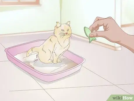 Image titled Use a Spray Bottle on a Cat for Training Step 12