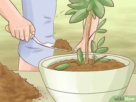 Image titled Arrange Flower Pots Step 12