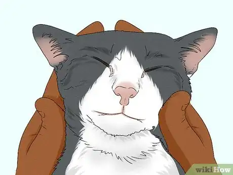 Image titled Give Your Cat a Massage Step 14