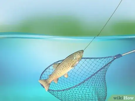 Image titled Fly Fish for Trout Step 19