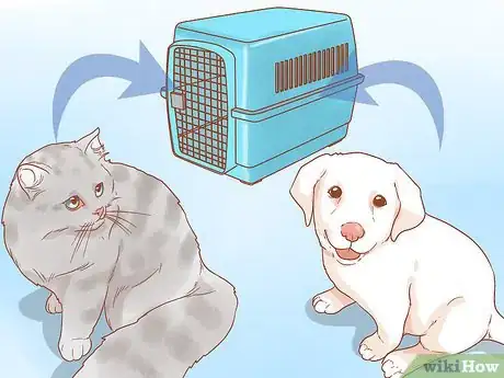 Image titled Introduce a New Puppy to the Resident Cat Step 2