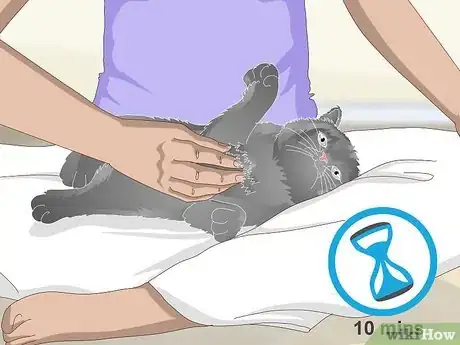 Image titled Help a Vomiting Cat Step 7