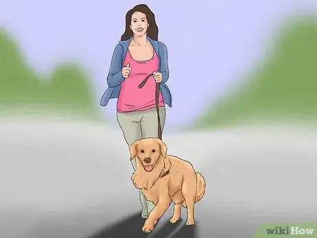 Image titled Walk Your Dog in Imaginative Ways Step 3