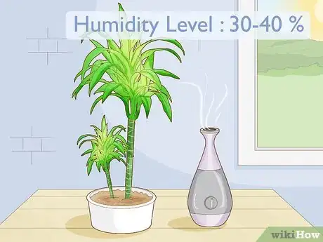 Image titled Care for a Dracaena Step 3