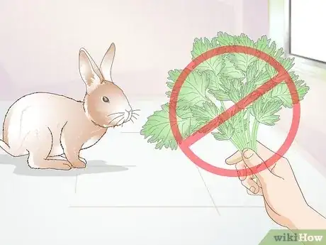 Image titled Feed Greens to Your Rabbit Step 4