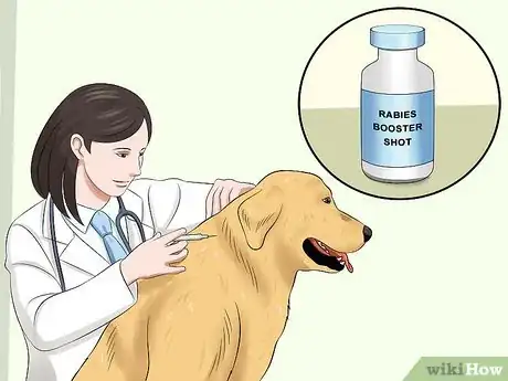 Image titled Prevent Rabies in Dogs Step 2