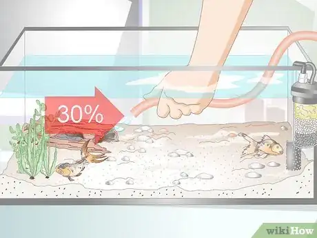 Image titled Lower Ammonia Levels in a Fish Tank if They Are Not Very High Step 1