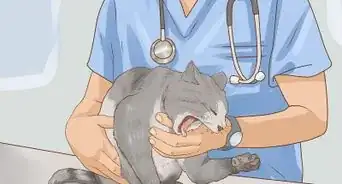 Save a Choking Cat