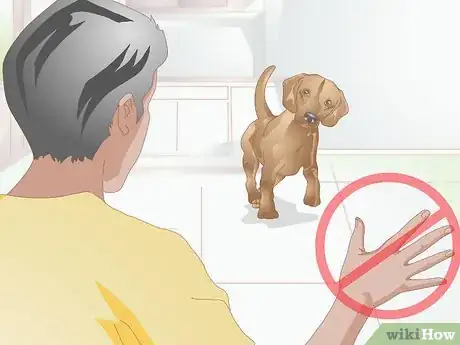 Image titled Deter a Dog from Misbehaving Using a Water Gun Step 5