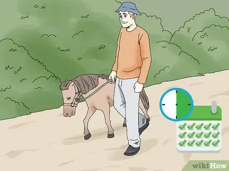 Image titled Keep a Miniature Horse Fit Step 1