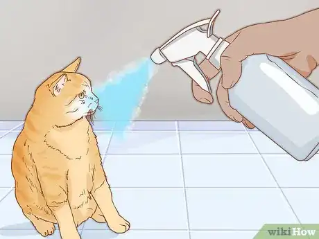 Image titled Take Care of a Cat Step 10