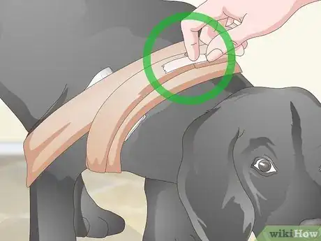 Image titled Wrap a Dog’s Shoulder Step 12