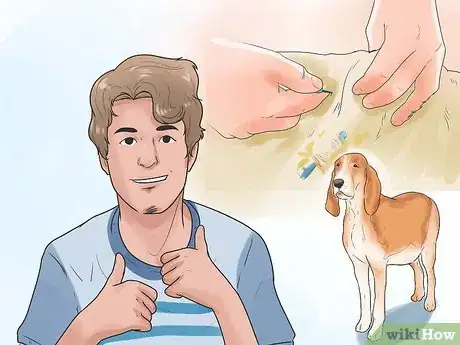 Image titled Microchip Your Dog Step 14