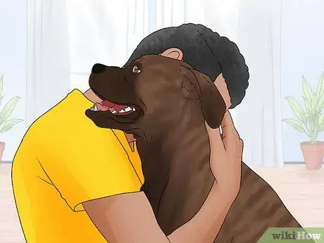 Image titled Identify a Mastiff Step 10