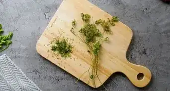 Dry Cilantro