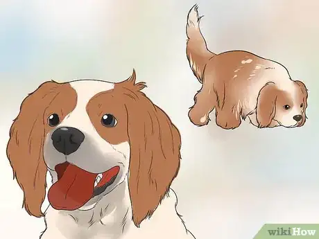 Image titled Train Your Dog to Not Run Away Step 17