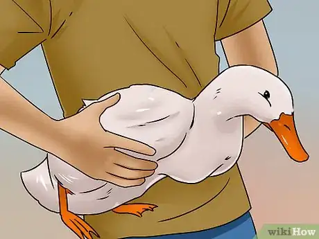 Image titled Catch a Duck Step 15