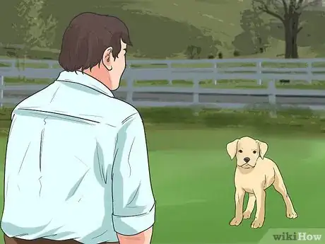 Image titled Train Your Dog to Not Run Away Step 16