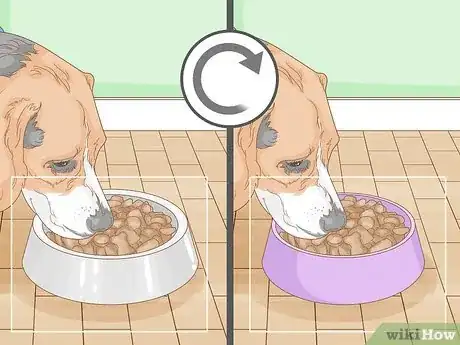 Image titled Get a Dog to Eat Step 3