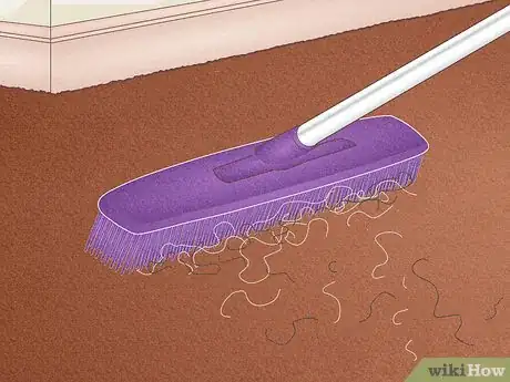 Image titled Remove Hair from a Carpet Without Vacuuming Step 6