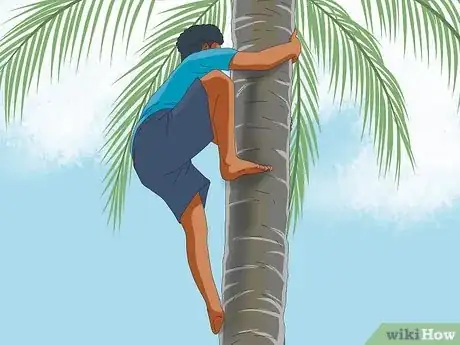 Image titled Climb a Tree With No Branches Step 8