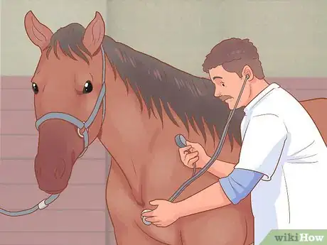 Image titled Recognize and Treat Laminitis (Founder) in Horses Step 4