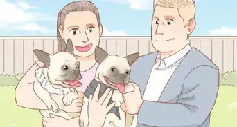 Host a Dog Wedding