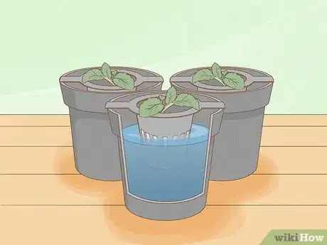 Image titled Grow Plants Using Hydroponics Step 11