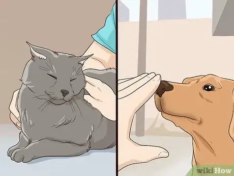 Image titled Introduce a Cat to a Dog Step 2