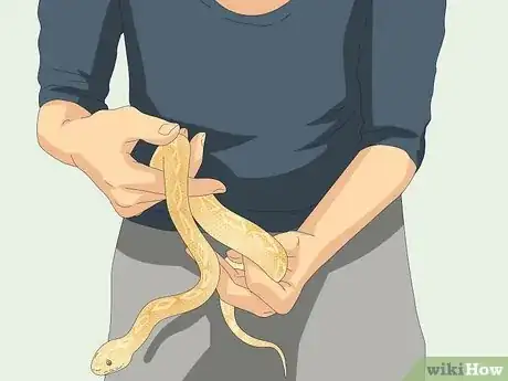 Image titled Hold a Snake Step 10