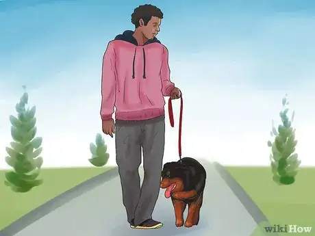 Image titled Be a Good Dog Owner Step 15