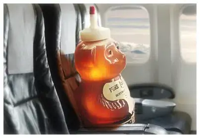 Image titled My Honey's on a Plane