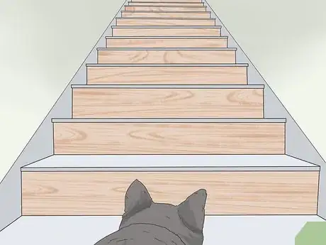 Image titled Train a Scared Dog to Go Down the Stairs Step 5