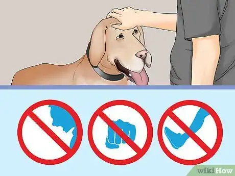 Image titled Be a Good Pet Owner Step 16