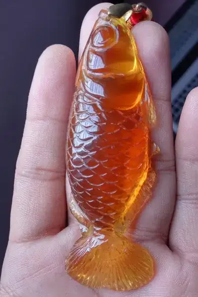 Image titled FISH AMBER