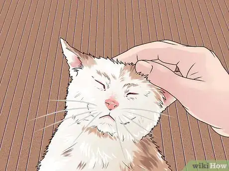 Image titled Treat a Cat Bite Step 13