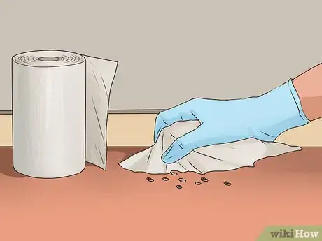 Image titled Clean Rat Droppings Step 5