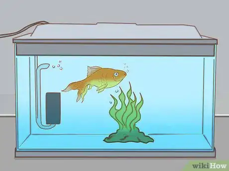 Image titled Add Fish to a New Tank Step 13