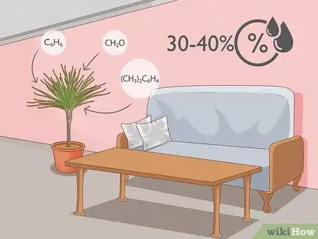 Image titled Grow Dracaena Marginata Step 7