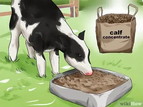 Image titled Care for Calves Step 17