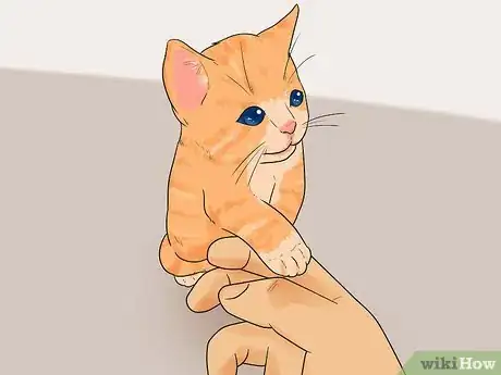 Image titled Tell How Old a Kitten Is Step 9