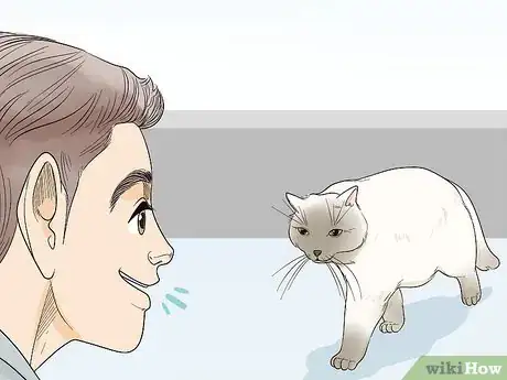 Image titled Attract Cats Step 8