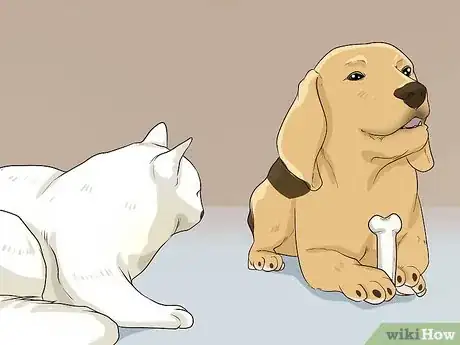 Image titled Introduce a Cat to a Dog Step 7