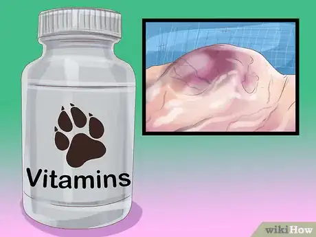 Image titled Give Cats Nutritional Supplements Step 7