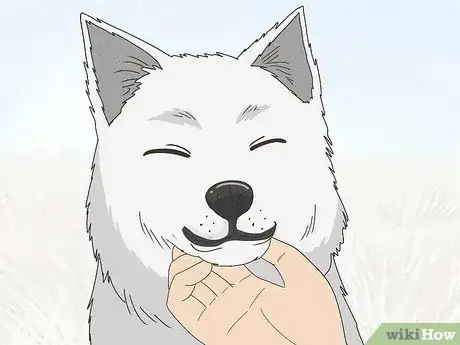 Image titled Tickle a Dog Step 10