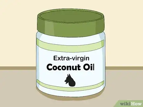 Image titled Use Coconut Oil for Flea and Skin Treatment on Dogs Step 1