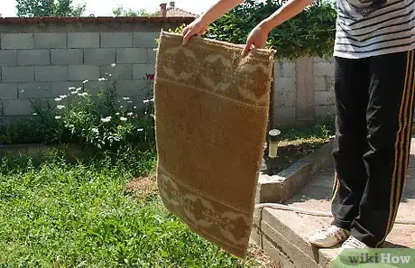 Image titled Clean Fibre Mats (Coir, Coconut Matting etc.) Step 1